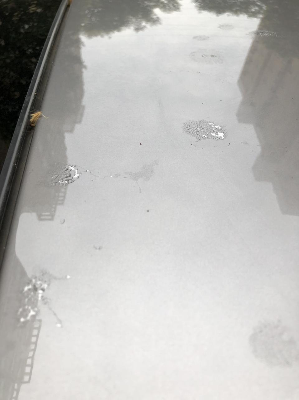 现代菲斯塔，刚提车4个月，车顶的漆成这样了，怎么样处理？是不是属于质量问题？
