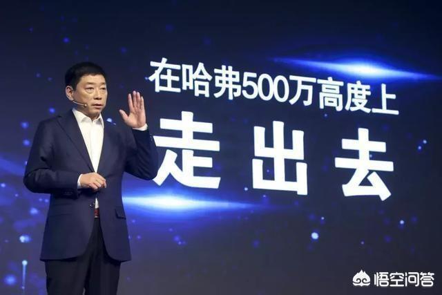 雷凌-国产车现在处于什么水平？