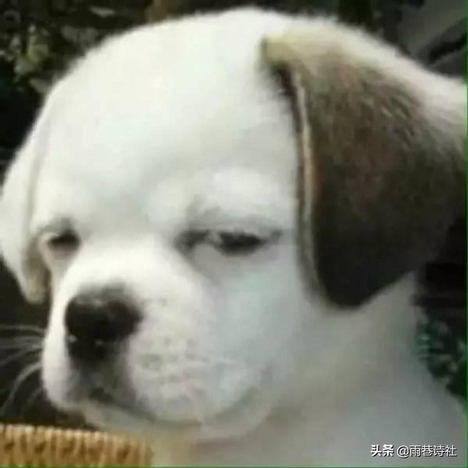 奇瑞瑞虎8，准备下手1.6自豪6座，明天天趁活动下定金，颜色上大家有啥好推理好的，黑色，白色。蓝色，紫色？？？？