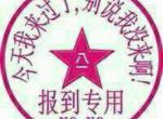 宋pro-我姓张，不姓宋，可否把车标换成张