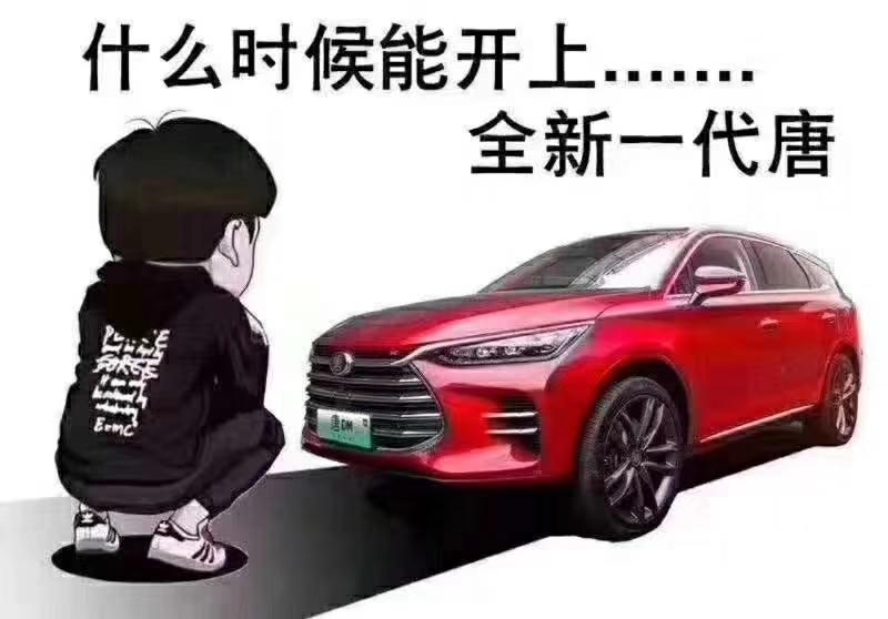 唐-请问交首付的时候验车还是等提车的时候再验车？要是交首付的时候验了 那提车的时候还要不要验？提车的时候一共有哪些东西要拿的？比如绿本等