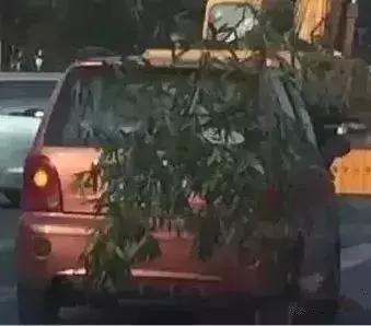 雷凌-乱停车挡别人路，遭报复车子被遮挡车牌扣12分，你觉得冤吗？


对于司机而言

最怕的就是路上一不小心就违章

不仅要罚钱，还要扣分

一年12分，一不小心就扣光了

于是就有了一些人的“自作聪明”

各种奇葩遮挡号牌的“招数”