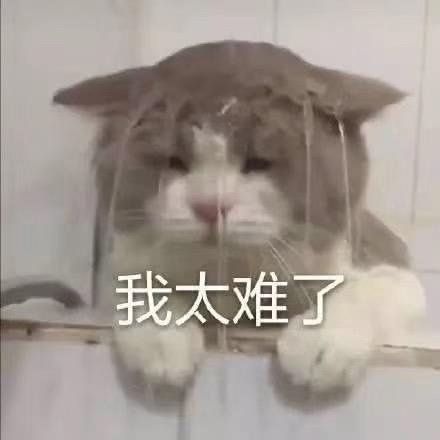 名爵6-想请教一下各位大佬，特别喜欢手动车，比较看好MG6手动高铁版，想问一下这个车有别的颜色吗，还有内饰的颜色，不太喜欢红色的，有没有黑色的内饰。