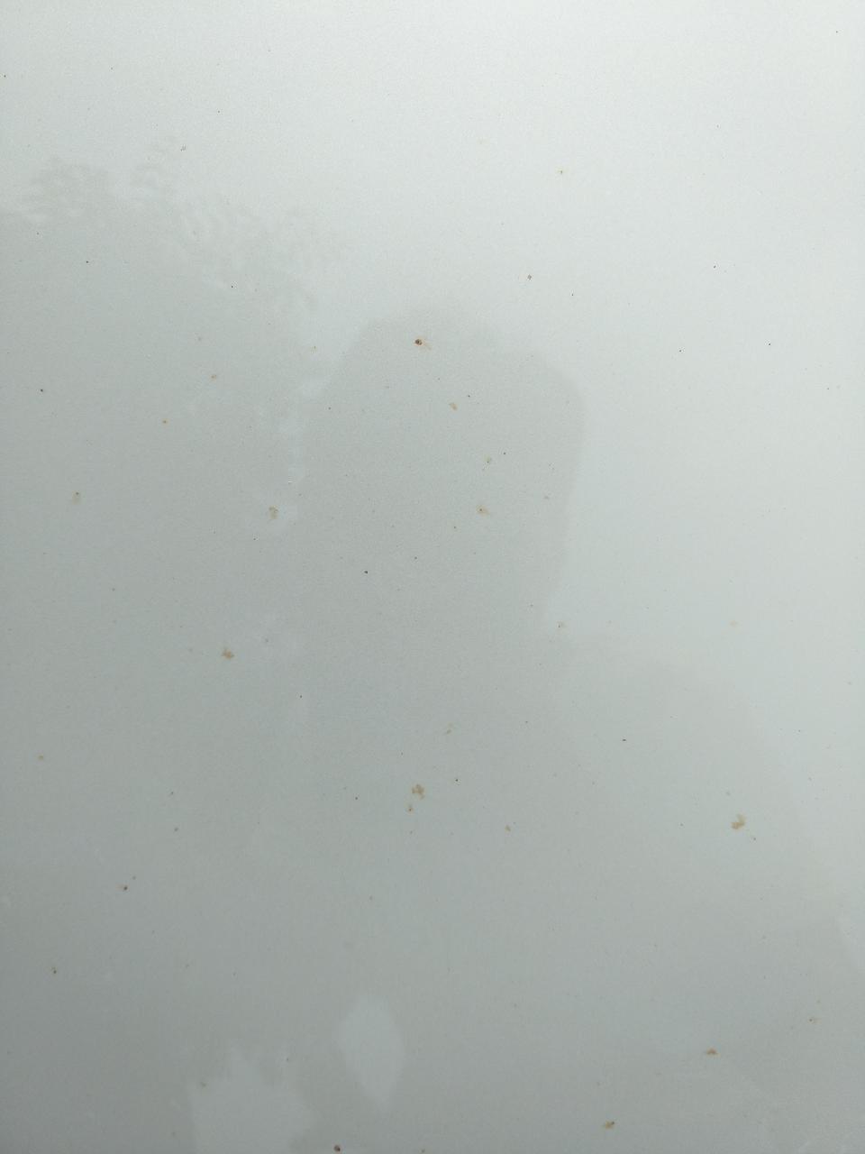 雷凌-新车没多久有这种黄点，有什么好的方法可以去除？