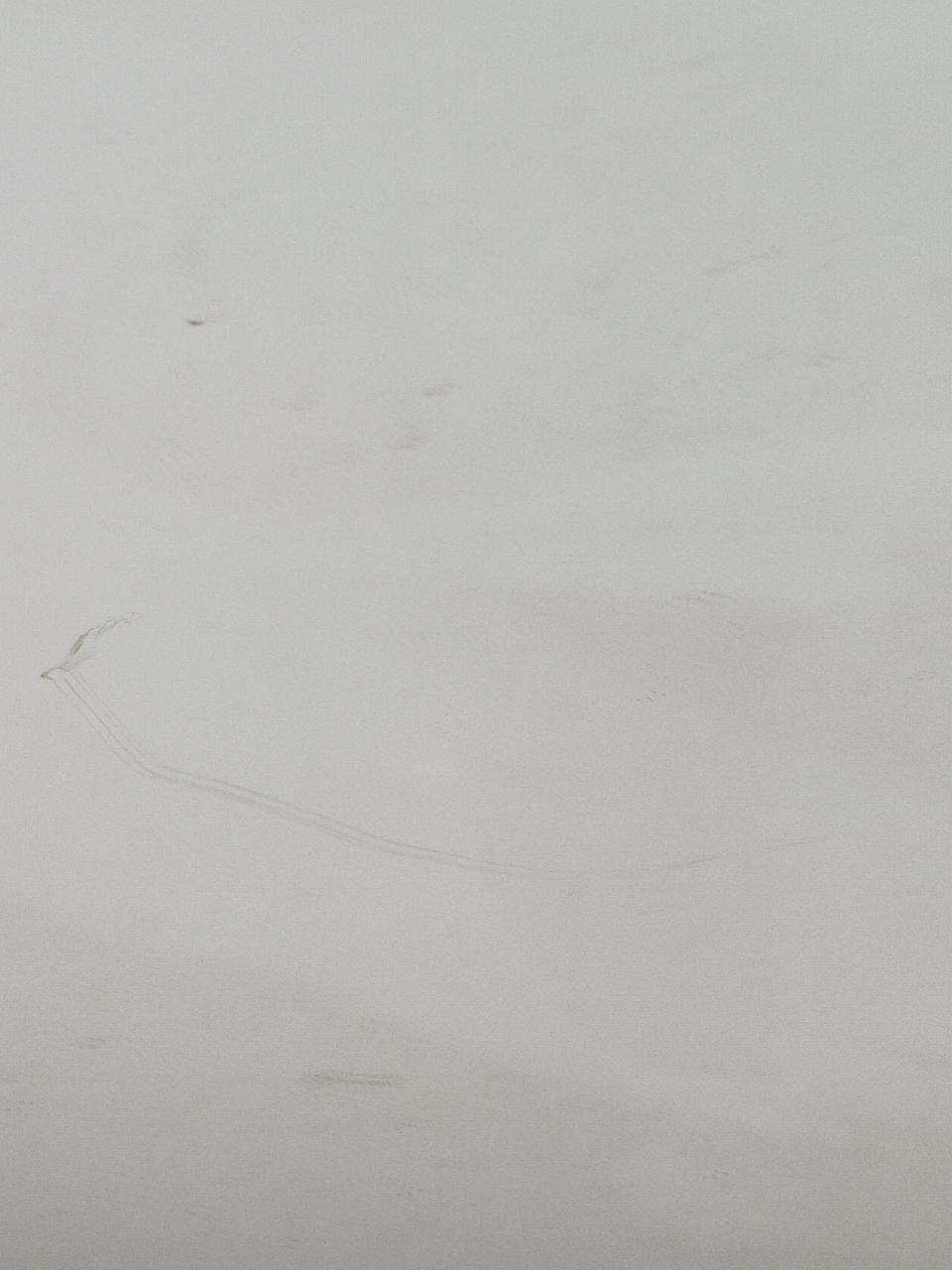 天籁-一个小刮碰找我要800贵吗