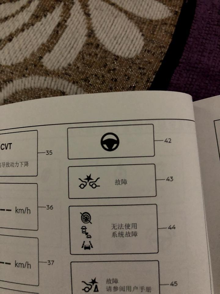 天籁-行车过程中，下图43那个图标亮了，然后有一段时间速度加不上去，空调制热不行，左右两侧出风口基本不出风，关闭空调会出现一种声音，形容不上。唉