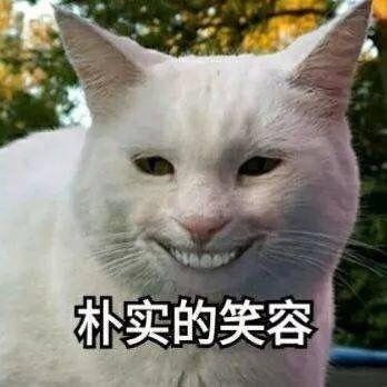 科鲁泽-有没有淄博烟台买克鲁泽的大哥。畅想版全款落地要多少钱。现在正在学驾照，闲着没事就来看车了。目前看上这个，提前来问问。
