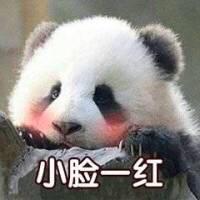 各位大哥，我想请教一下各位老前辈，新一代福克斯能改全液晶仪表盘嘛…要多钱…好不好使…请指教。