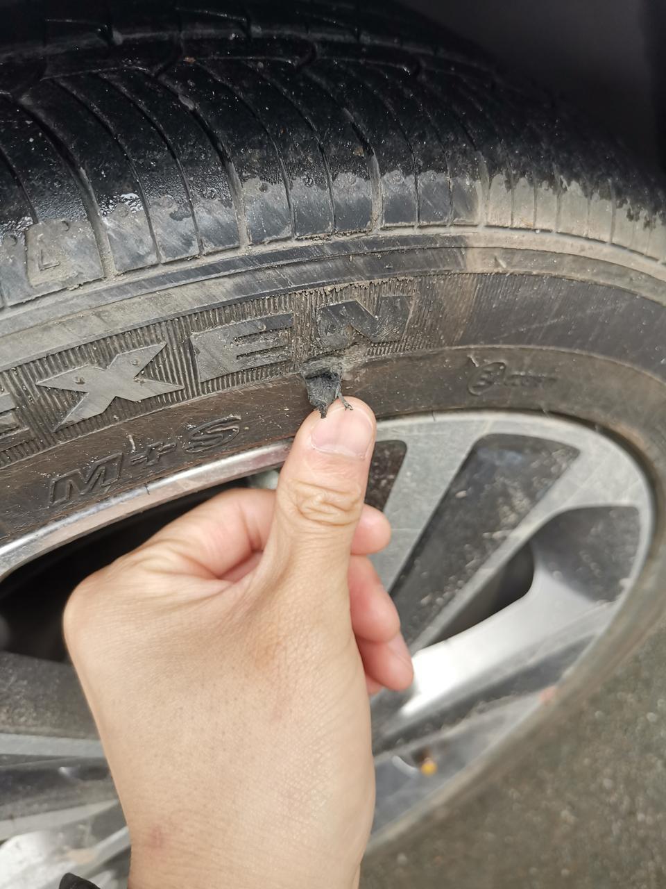 领动-轮胎蹭了个小口子，要不要换？才7千多公里，换的话推荐个轮胎吧