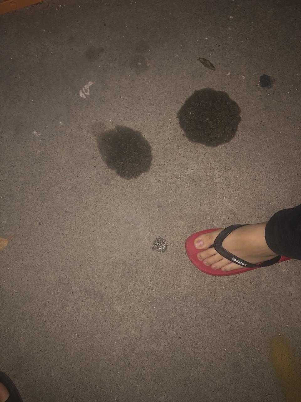 宝马3系-19年11月提车，3500公里
最近发现疑似漏油！
怎么办？怎么办啊！各位大神