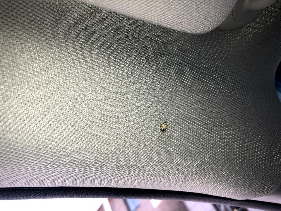 雅阁-咋办嘛？烟头烫的 想剁手 ！除了换顶蓬还有别的办法吗？？各位好汉