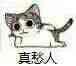 到底是雅阁还是君威？