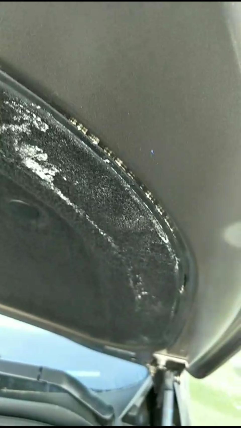 19款别克昂科威，两驱豪华型，19年12月提的车，发动机引擎盖内，电瓶上方隔音棉发霉，有白色絮状物，自己擦过好几次，每次擦完，过几天又会出现。哪位老铁懂啊，这是啥。