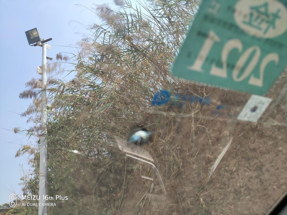本田cr-v-玻璃上不知道被石头还是弹弓打的，外面碎了里面没事，能不能修复