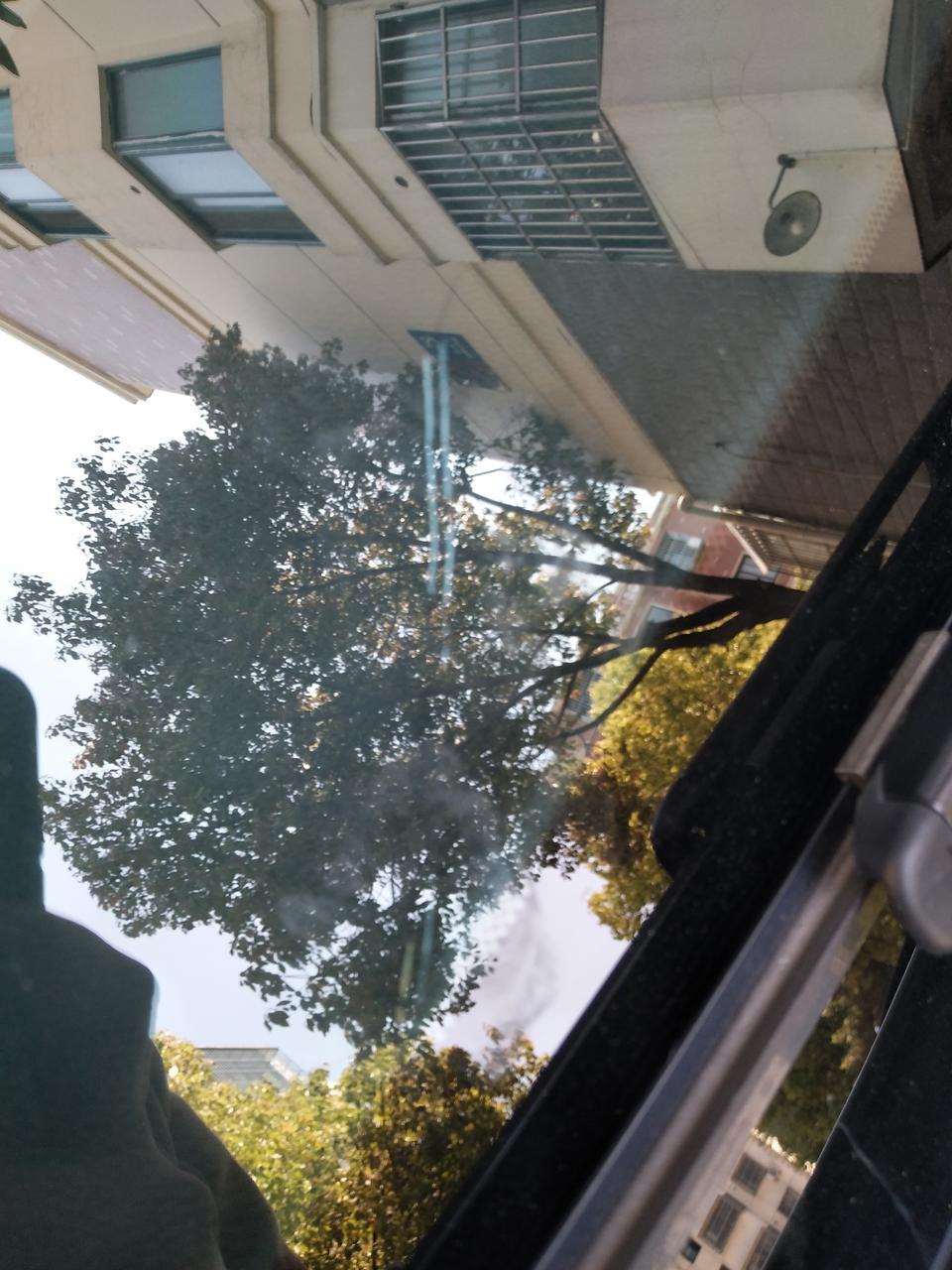 英朗-才半年多的新车，昨天发现前挡风玻璃开裂了，去找4s店，他们不给理赔换一个大概多少钱？是不是玻璃质量问题