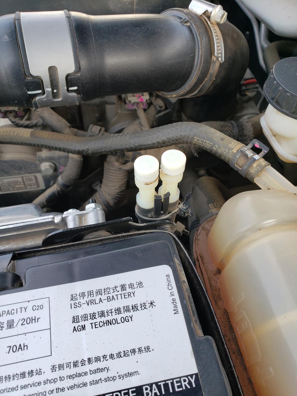 英朗-哪个大神知道这两个有白色的两个犄角是干嘛用的吗？