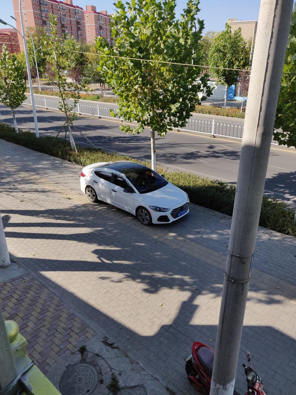 领动-我的车前几天被朋友不小心猛踩了一脚油门，排气管冒出大量白烟，还有焦味，是什么情况？感觉很慌呀，是不是哪里坏了？