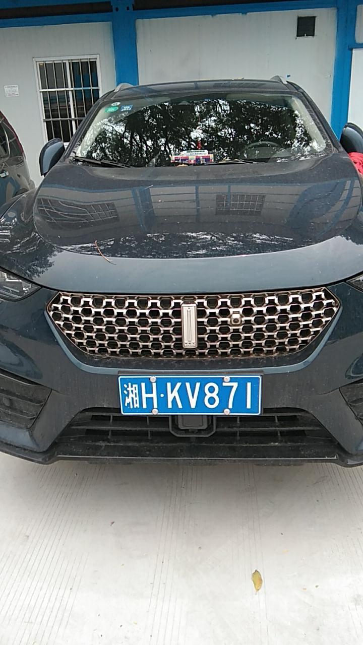 wey vv5-这车的标志是什么？