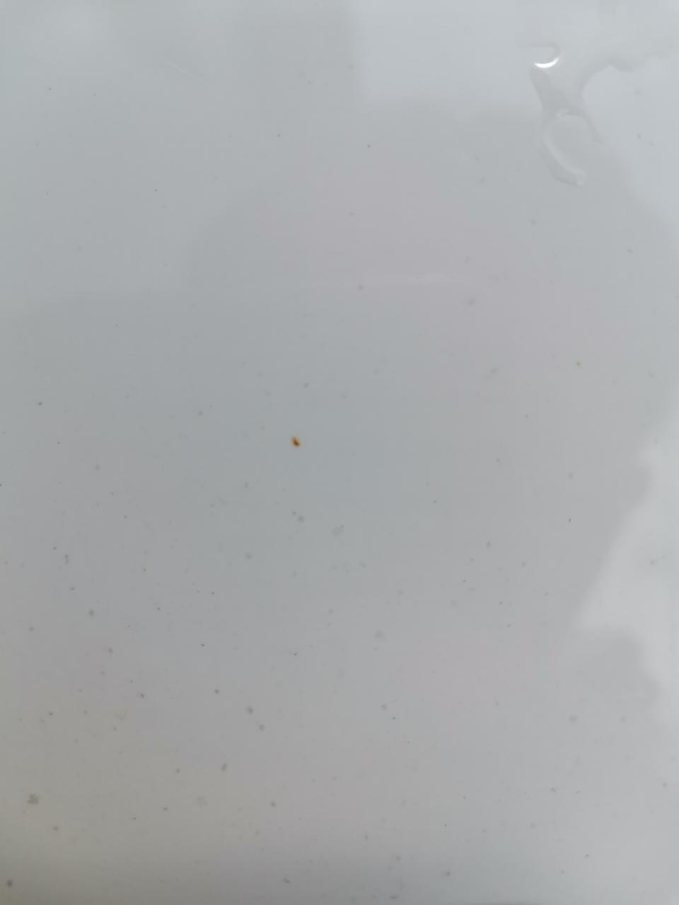 缤越-刚刚洗车发现车漆已经有一点小锈迹了，车才刚提了半年，这是怎么回事？