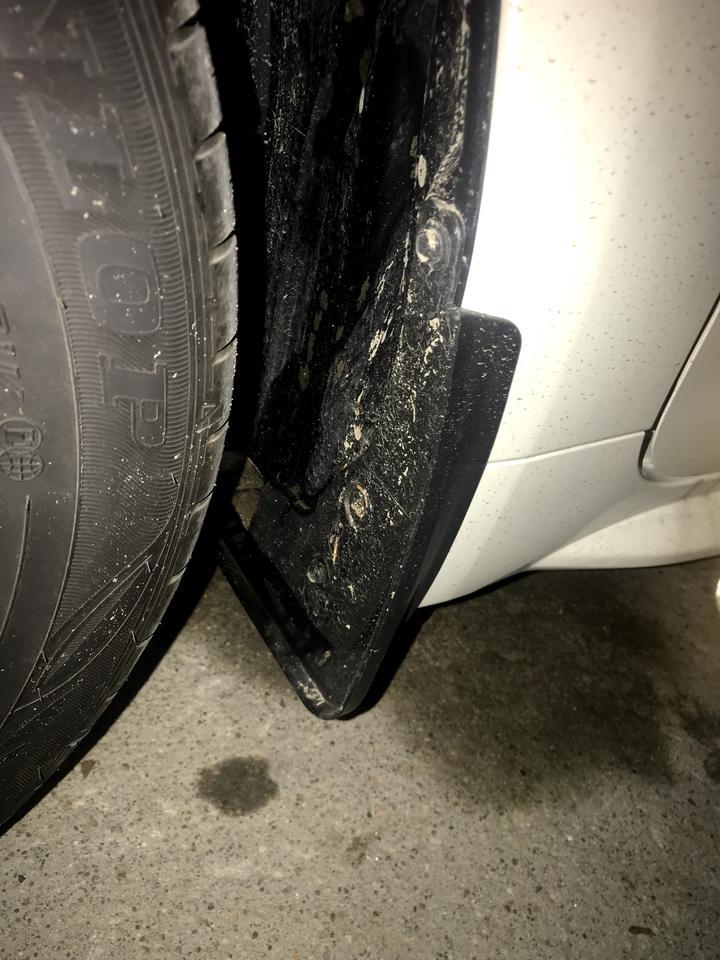 雷凌-刚提10天的新车，为什么刹车熄火后这个地方有油，不是水，正常吗？