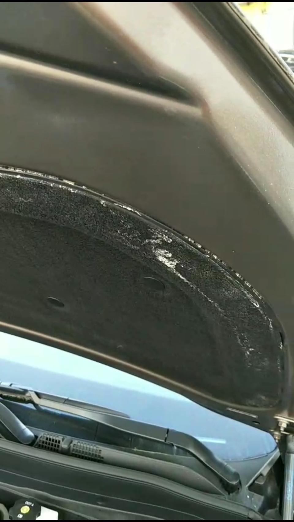 19款别克昂科威，两驱豪华型，19年12月提的车，发动机引擎盖内，电瓶上方隔音棉发霉，有白色絮状物，自己擦过好几次，每次擦完，过几天又会出现。哪位老铁懂啊，这是啥。