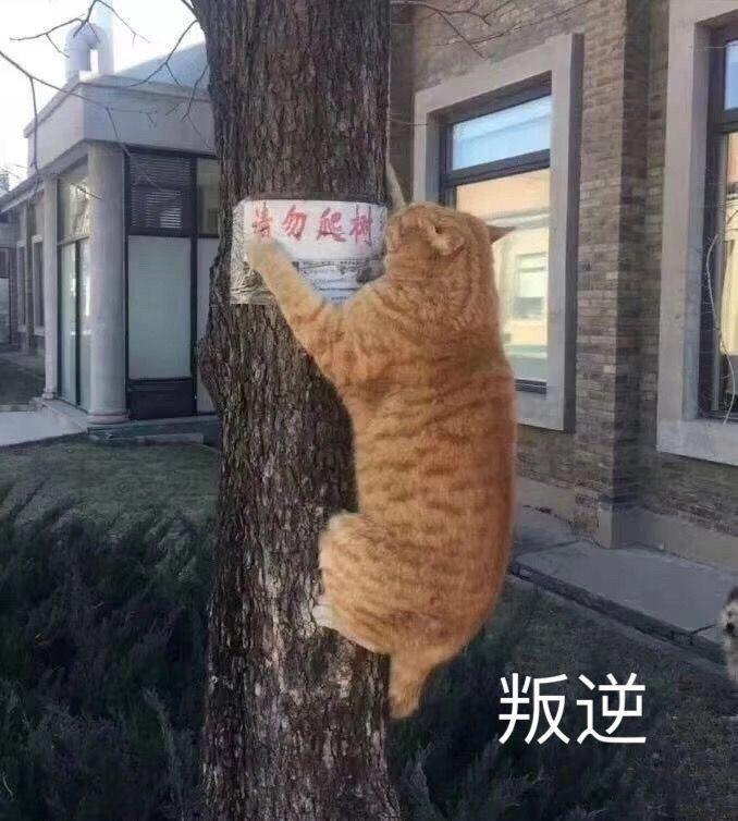 model 3-想今年买，不知道啥时候下单最划算，有没有大佬点拨一下～