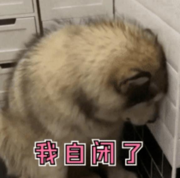 想入菲斯塔1.6T的，但是朋友推说这辆车身薄，噪音大，发动机不好，也不保值，保不保值的倒是无所谓，但是其他的怎么样呢？我挺喜欢这个的，但是又在日产车上犹豫，怎么办呢？高人们帮忙解答迷津。