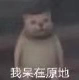 高尔夫-2020版1.4t舒适版落地多少合适？打算入手，坐标浙江。