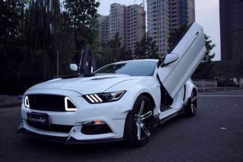 mustang-野马三角灯宝马3系能装吗？那个三角装饰叫什么