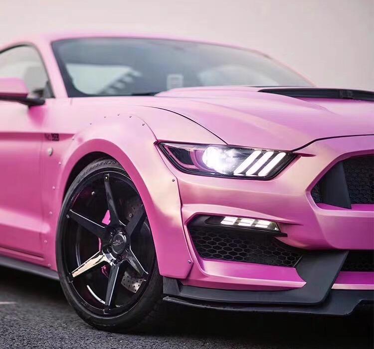 mustang-请教一下养2.3t的马每年大概多少花费呀？