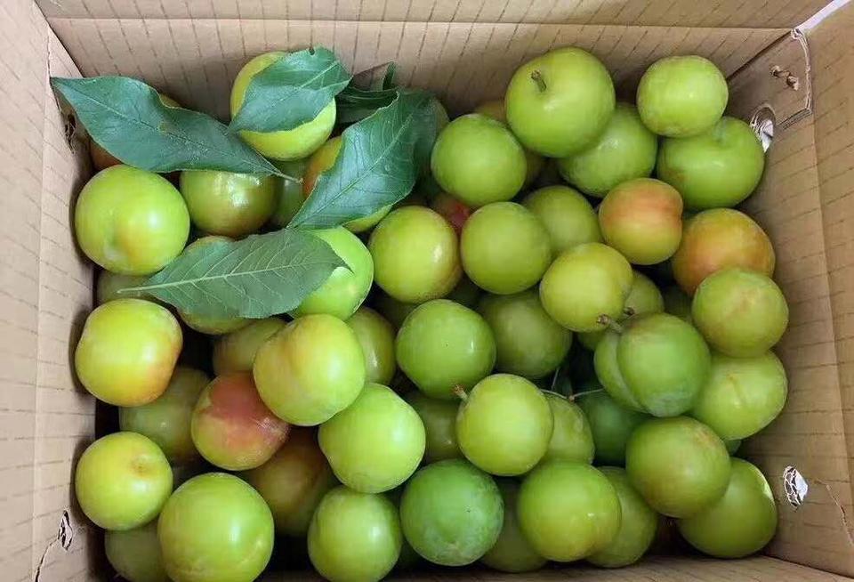 哈弗h9-老款哈佛h9有人刷ecu吗？刷完怎么样？对发动机那些有影响没