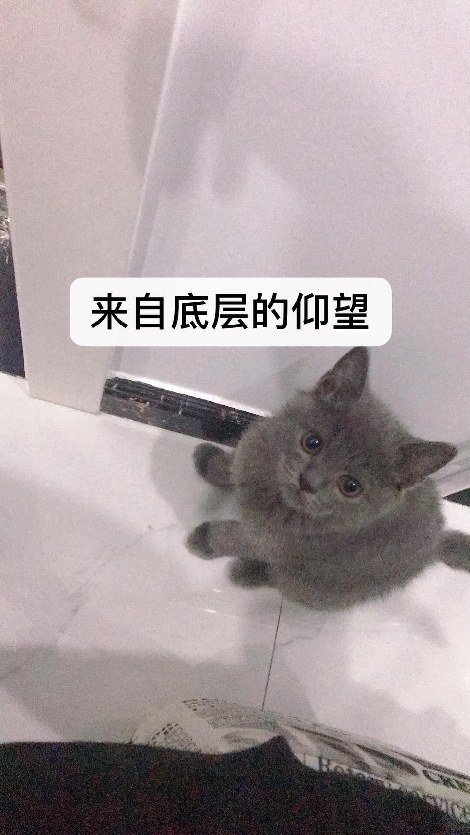 红旗h5-请问最近绵阳有全款提h5灵动版的老铁吗，都什么价格呢？优惠最大有多少力度