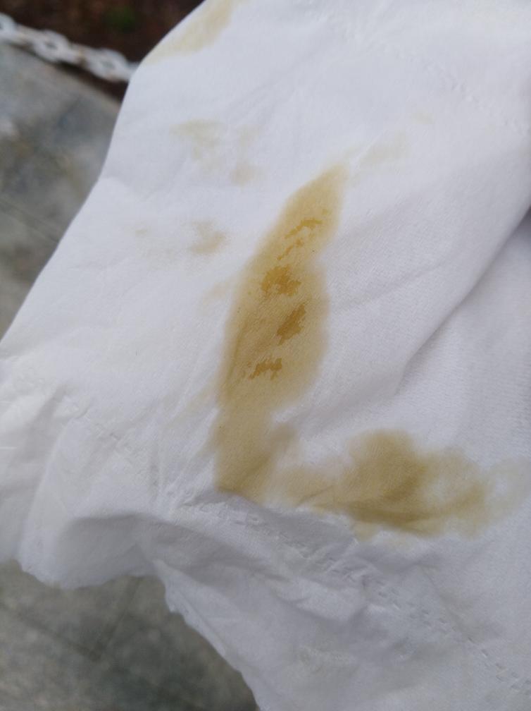 缤越-这个颜色机油还是正常的吧，各位老师傅