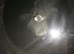 科鲁泽-请问玻璃被小石子刮了个小白点是走保险还是走维修店