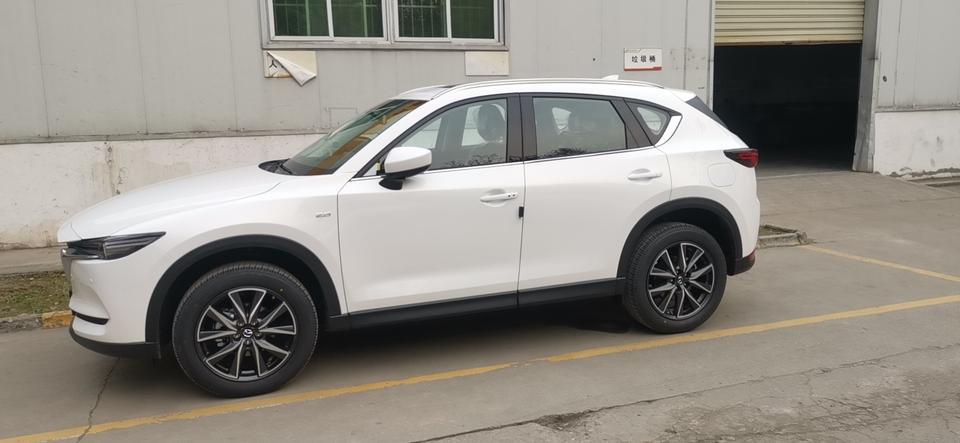 马自达cx-5-有没有20款2.5两驱智尊的车主？你们有没有怠速刹车片或者轮胎异响的情况？