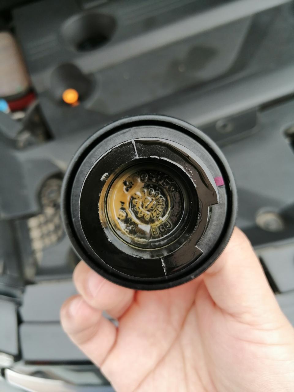 星途TXL车友有没有出现这种机油乳化的现象