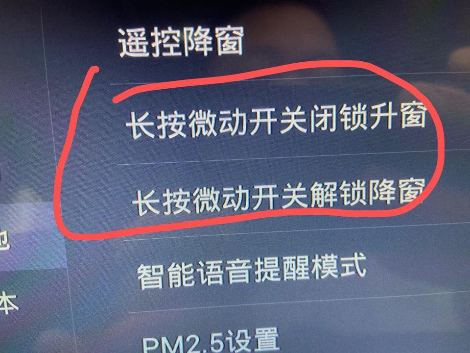 元ev-神马意思啊