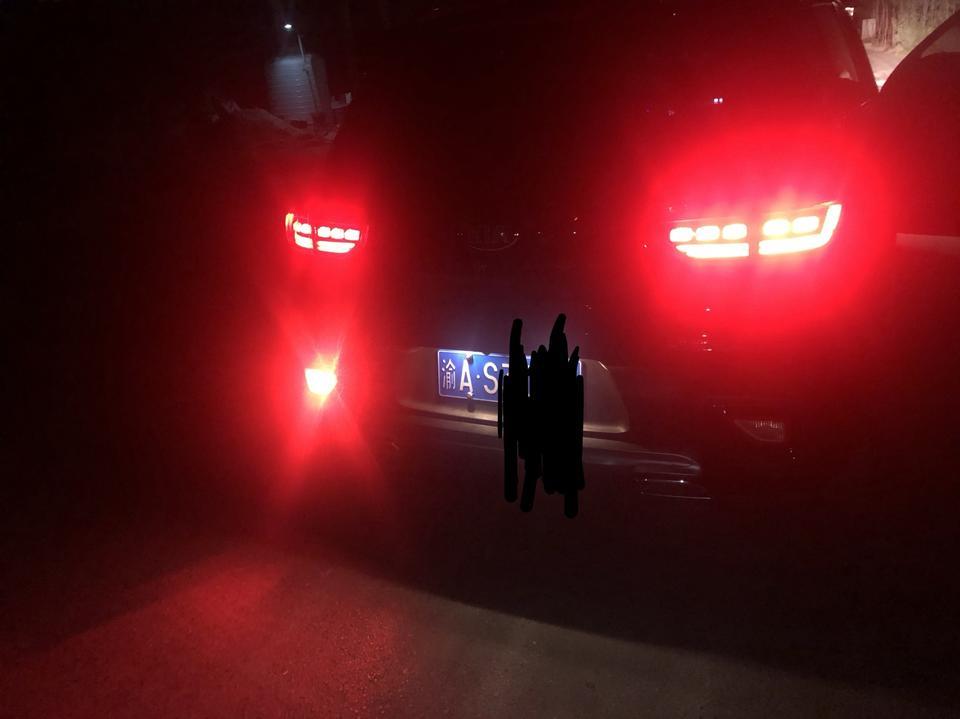 新智跑的后雾灯只有一个亮吗