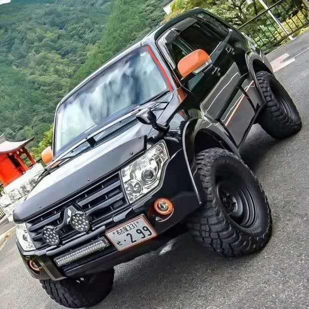 帕杰罗(进口)-大哥老掌沟能进吗？疫情管控吗？