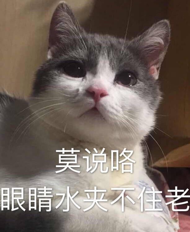 giulia-有大佬知道南通地区有19款的guilia卖吗