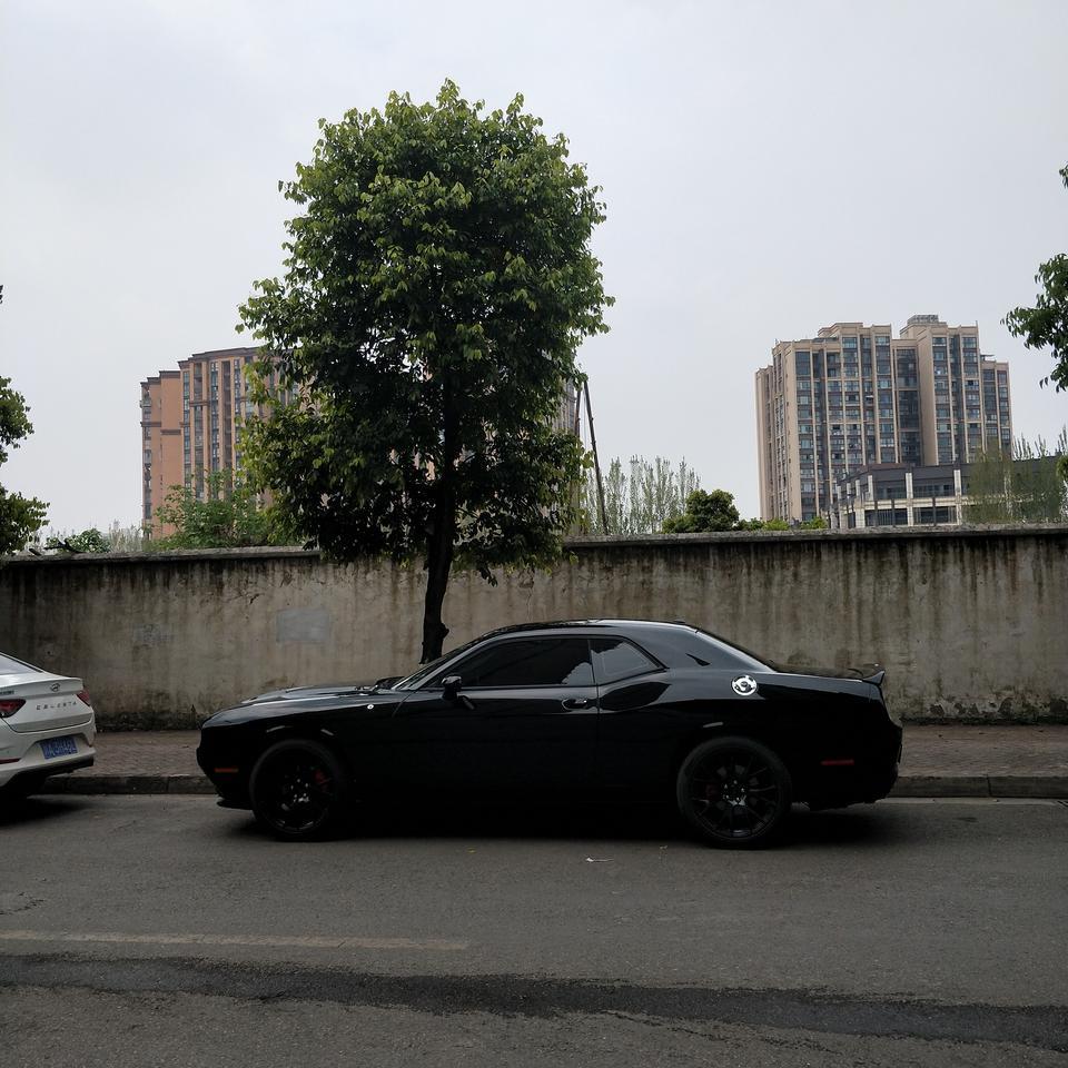 挑战者-这个是什么车啊？公司楼下的，好酷啊