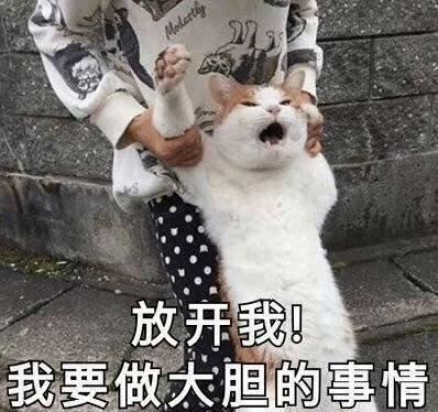 沃尔沃xc90-60w左右的suv有哪些啊，xc90,途锐，q7哪个好点啊