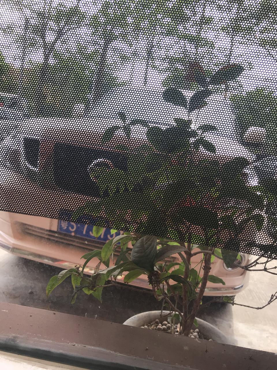 途乐-这是什么日产