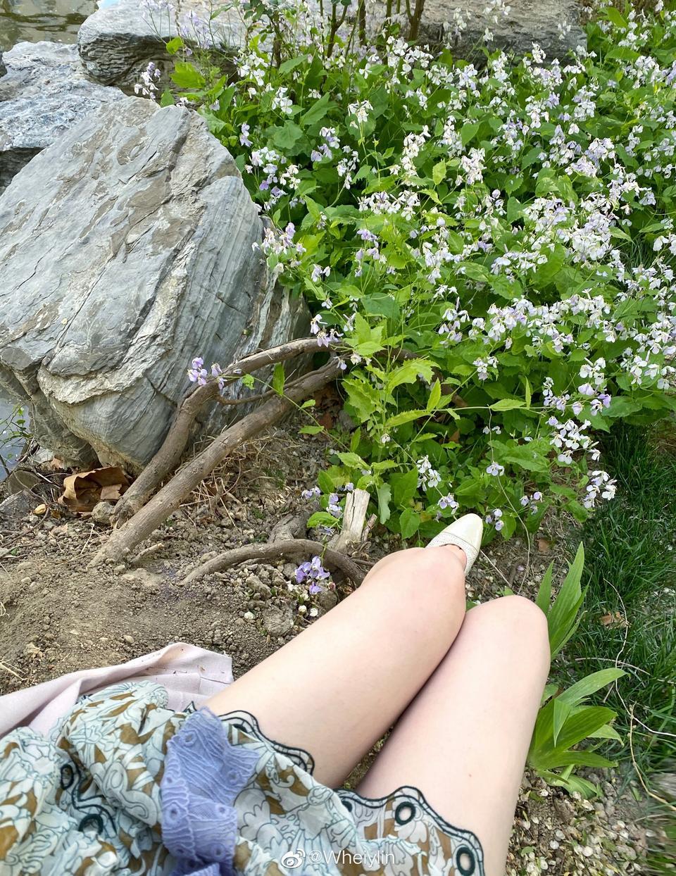 20款giulia 赛道版湖南37  浙江35  考虑到后期保养，怎么选？现在在湖南读书