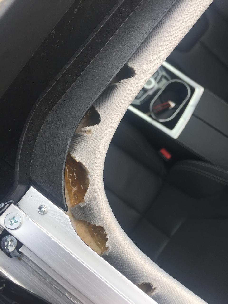 领界天窗顶蓬。怎么回事