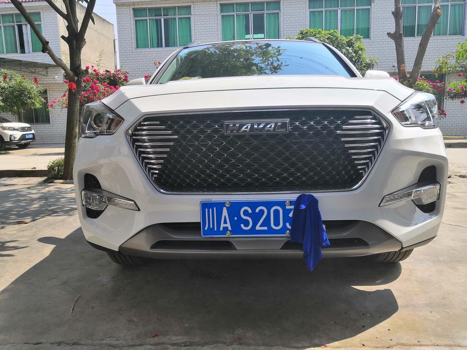 哈弗m6-那么多车友 都没几个贴这个装饰条  不好看吗？
