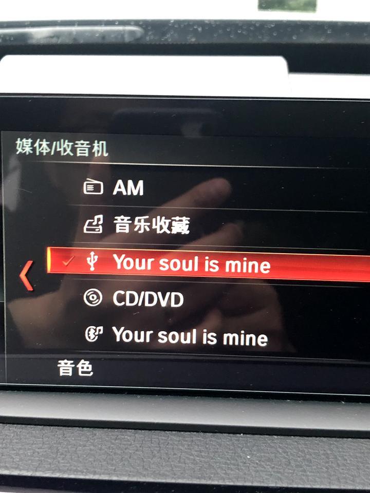 宝马3系gt-蓝牙连上了，没显示。倒是可以接电话，无法听音乐。车刚到手什么都可以。加了装潢后，加了行车记录仪就不能听音乐只能接电话了…什么鬼