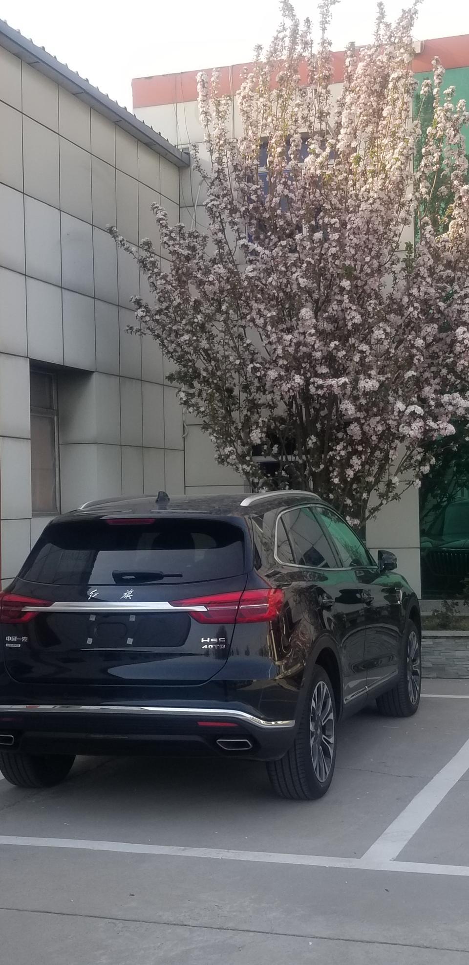 红旗hs5-大家好，我的车是四驱中配，上100以后有点风噪，还有一定频率的嗡嗡声音，这个怎样解决呢？谢谢啊