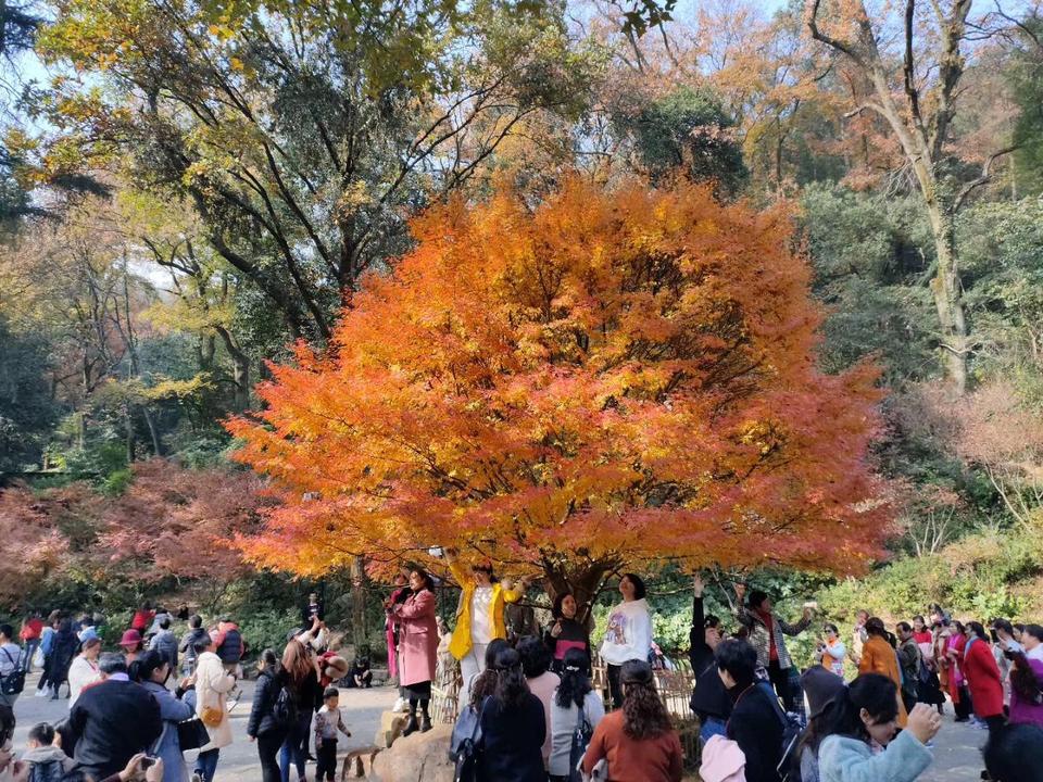 有没有最近买2019轩逸经典自动豪华版的落地多少钱