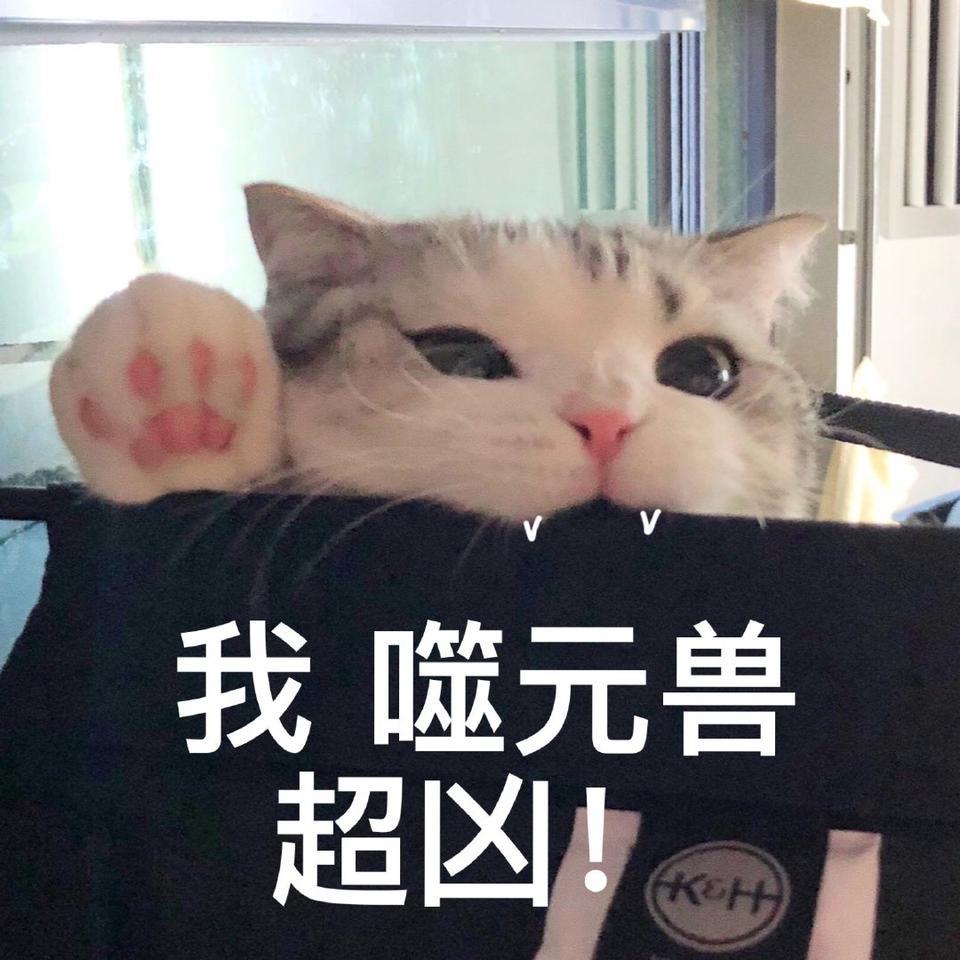 速腾-可以帮助我吗？

车子小白，预算落地价15万，只少不超

车子需求：上下班出行即可，也不用跑高速，颜值第一，好看就可以。

但现在纠结我的是买哪款型号好？？？？